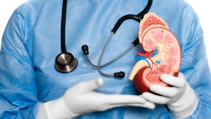 Nefrolog&iacute;a